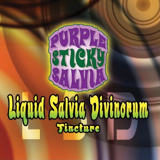 Best Liquid Tincture Salvia Divinorum