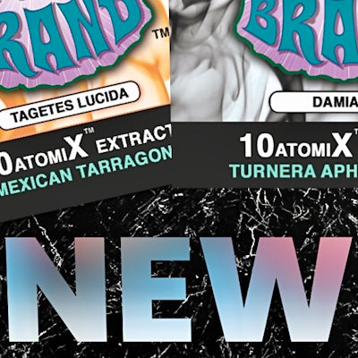 New Smoking Alternative Products 2023
